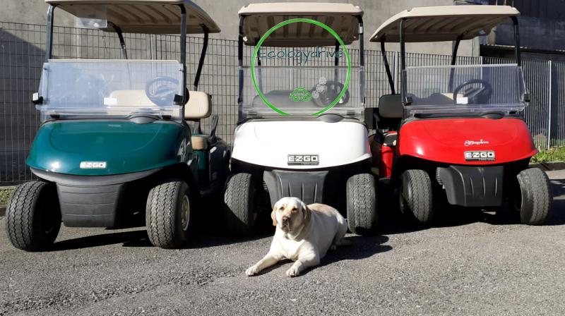 golf cart usati 